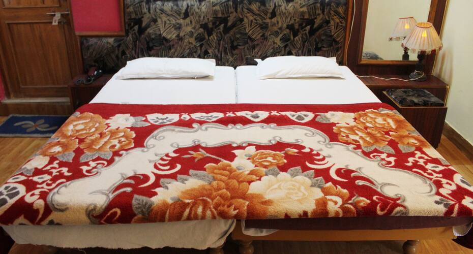Hariyali Palace Hotel, Udaipur 4